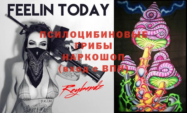 экстази Белокуриха
