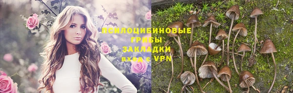 твердый Беломорск