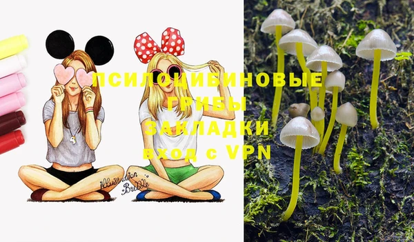 экстази Белокуриха