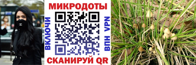 Псилоцибиновые грибы ЛСД  купить наркотик  Будённовск 